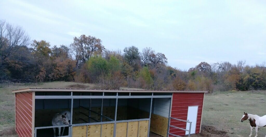 Loafing Shed vs. Barn