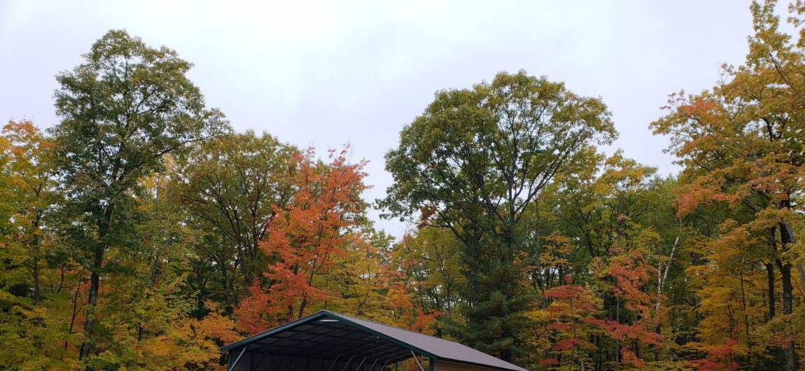 Partially Enclosed Metal Carport
