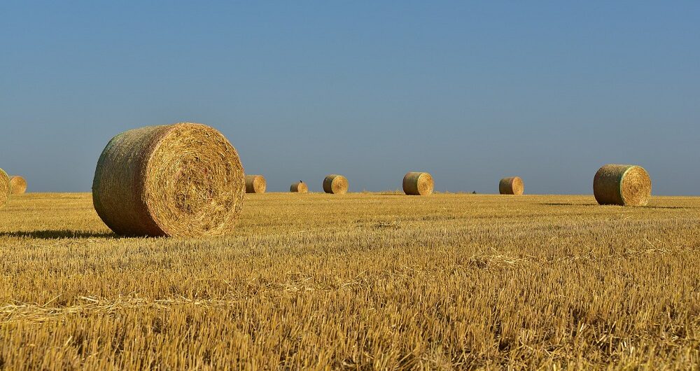 Hay Storage Ideas