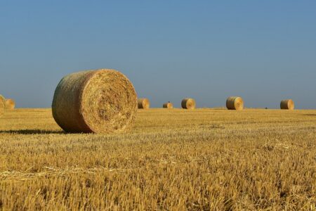 Hay Storage Ideas