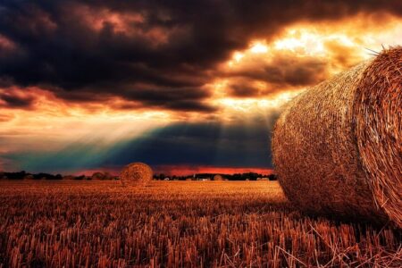 Outdoor Hay Storage Ideas
