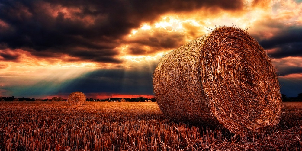 Outdoor Hay Storage Ideas