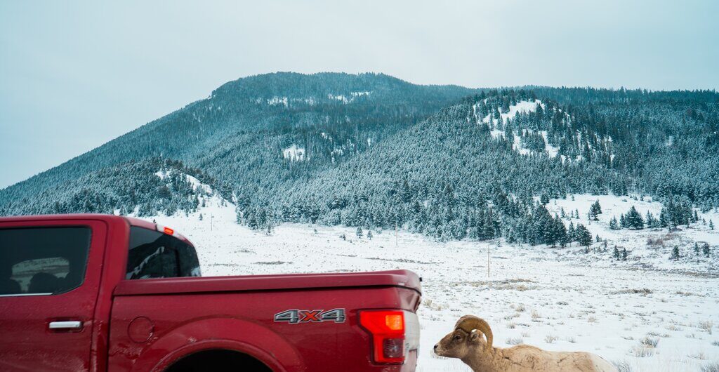 Do Tonneau Covers Save Gas?