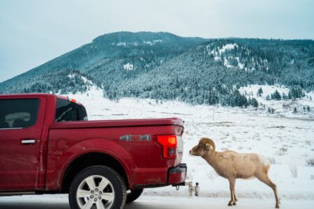 Do Tonneau Covers Save Gas?
