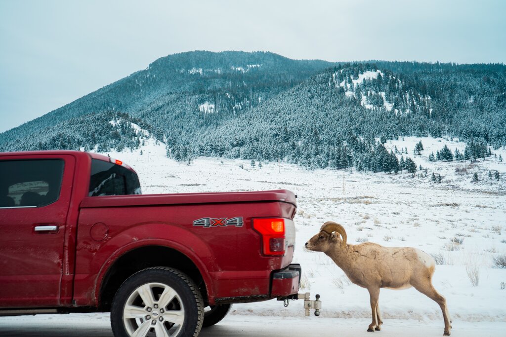 A truck parked outside in the snow.