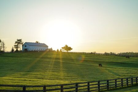 Metal Building vs. Pole Barn: Which Structure is Right for You?
