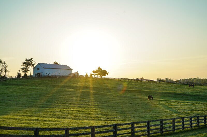 Metal Building vs. Pole Barn: Which Structure is Right for You?