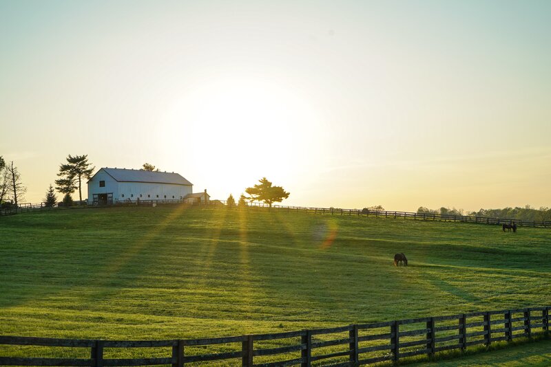 A metal structure on farmland with sunrise in the background and horse on the green open field.