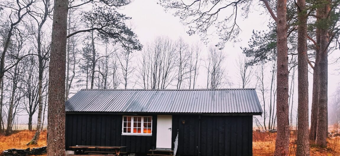What Shed Should I Build?