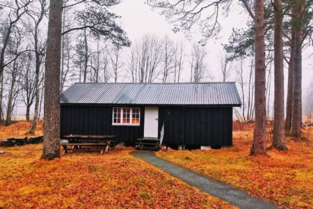 What Shed Should I Build?