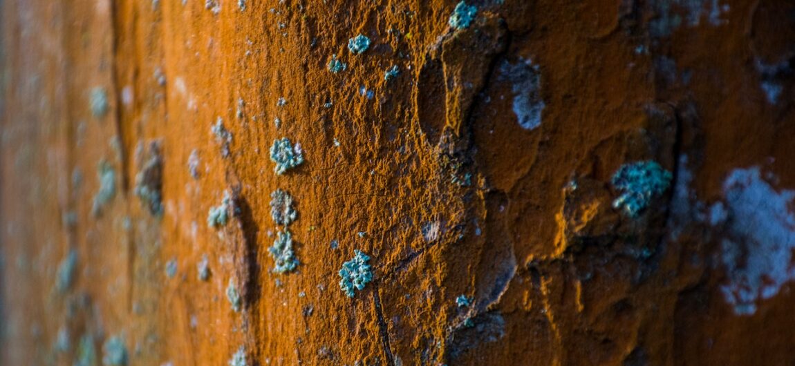 How to Protect Your Metal Building from Rust