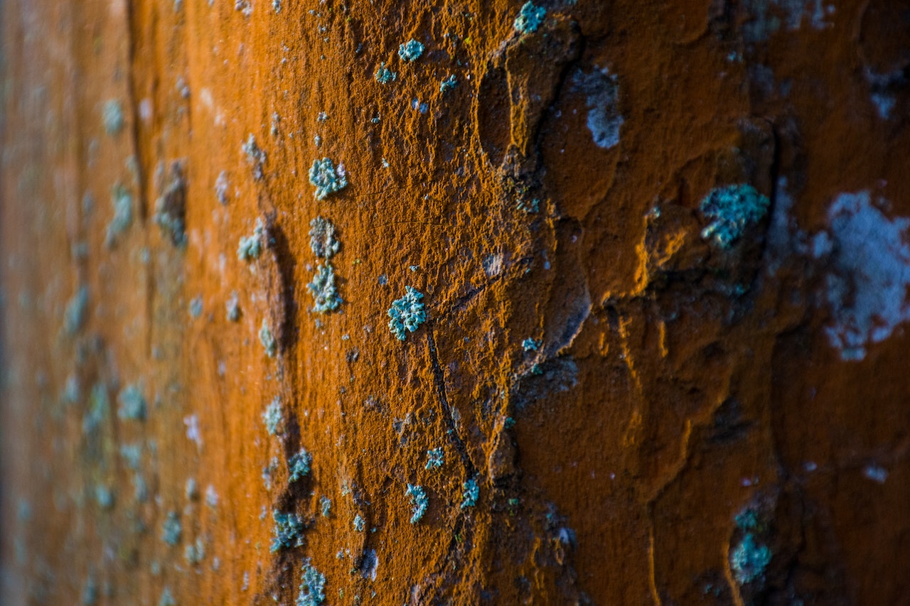 How to Protect Your Metal Building from Rust