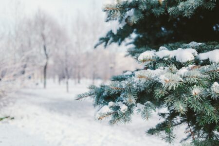 How to Build a Custom Carport to Withstand Snow