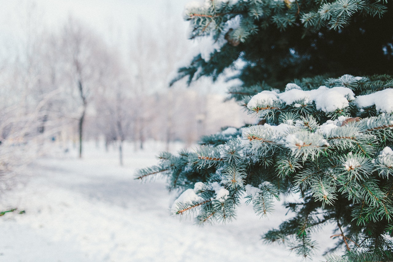 How to Build a Custom Carport to Withstand Snow