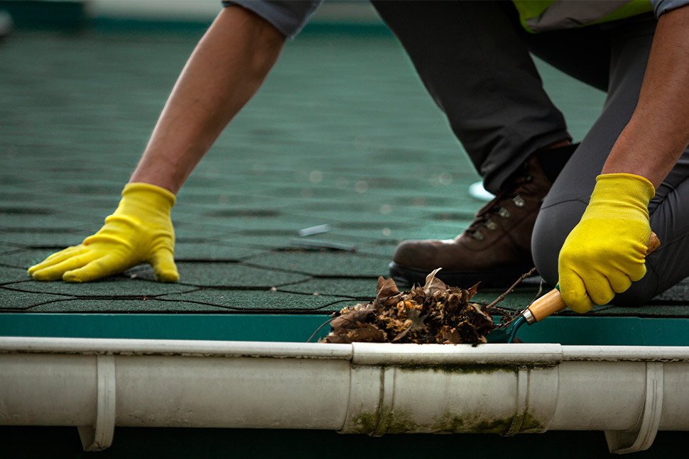 cleaning leaks roofing