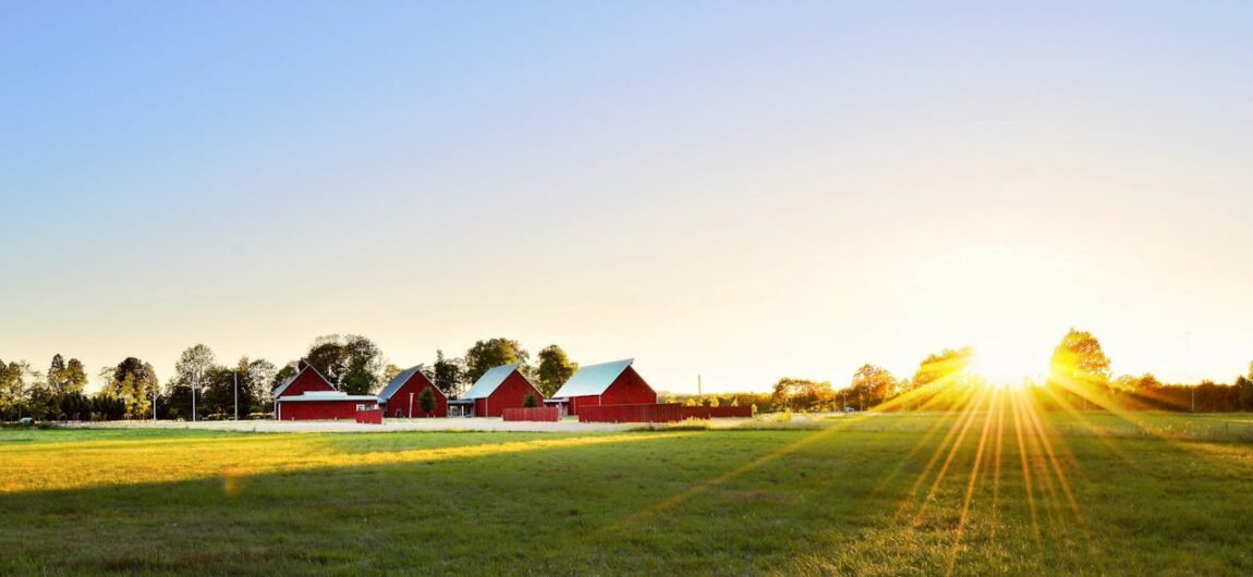 Agricultural Storage 101: What You Need to Know
