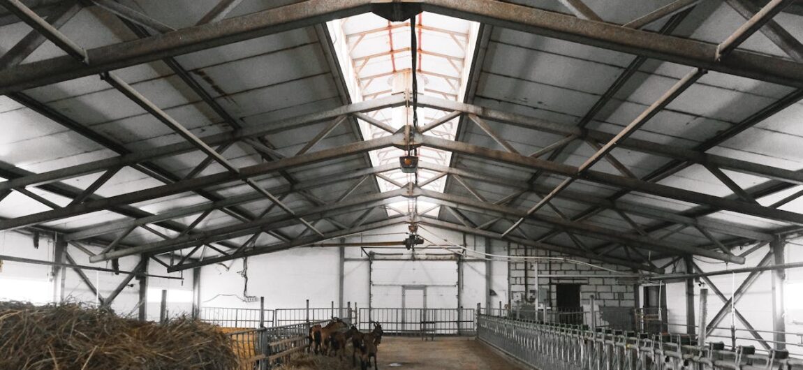 How to Design a Steel Barn for Livestock Comfort and Efficiency | American Steel, Inc.
