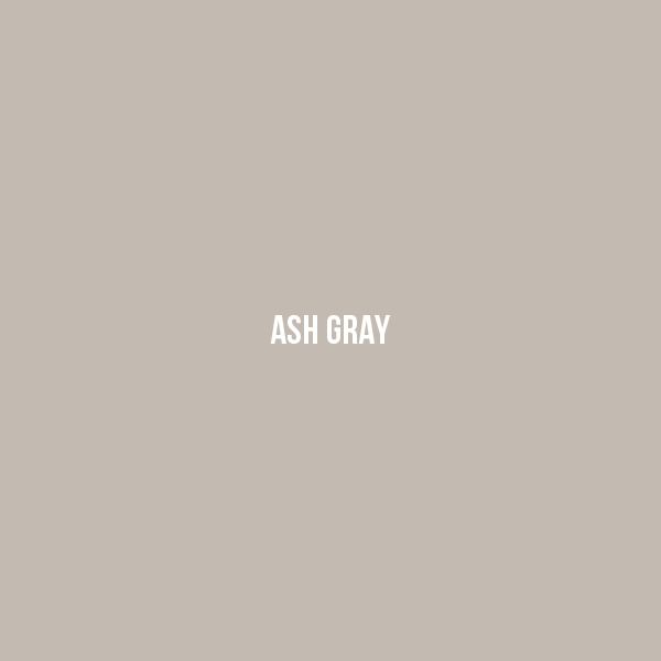 Ash Gray Color Swatch