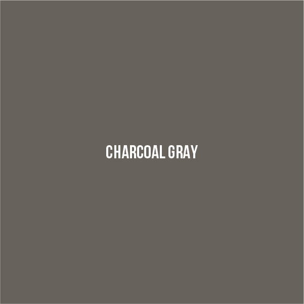 Charcoal Gray Color Swatch