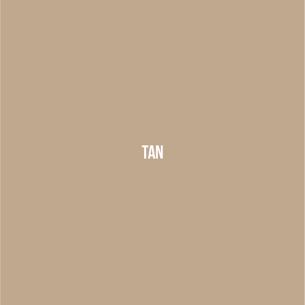 Tan Color Swatch
